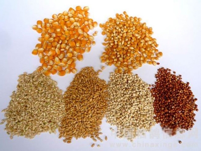 中國飼料及飼料添加劑進口政策面臨重大調整