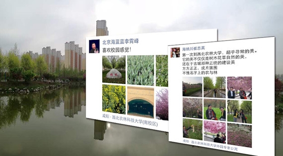 西北農(nóng)林校園_副本.jpg
