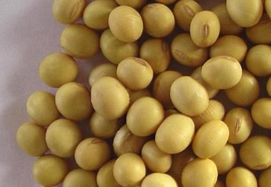 中國3月大豆進口量610萬噸