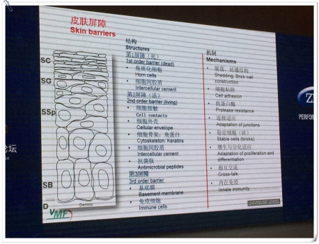 皮膚——?jiǎng)游镲曫B(yǎng)中常常被忽視的真相