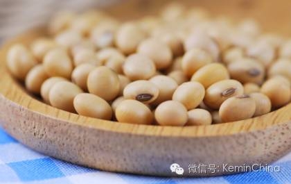 豆油與棕櫚油、牛油、白脂膏和其它脂肪的對(duì)比