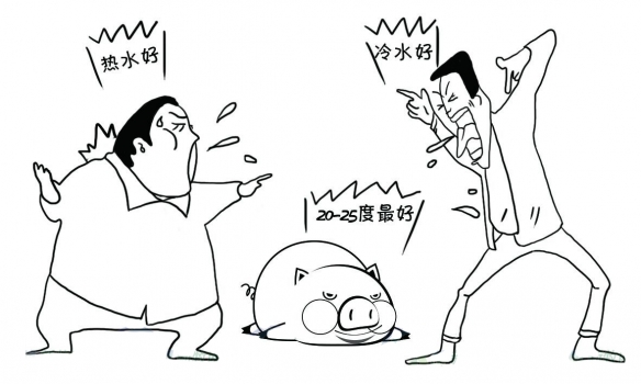 母豬莫名流產？養殖戶從沒想過與喝水有關