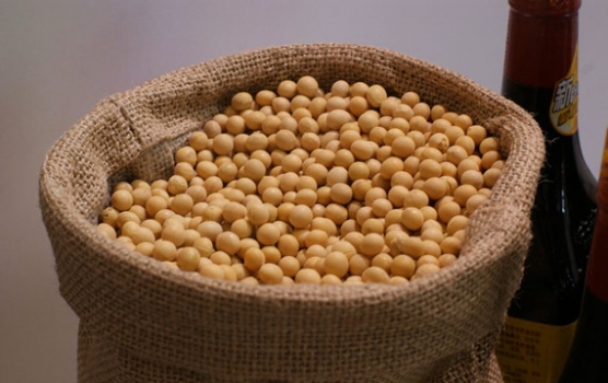 美國花25年蠶食中國大豆產業，慘烈廝殺內幕讓人震驚！