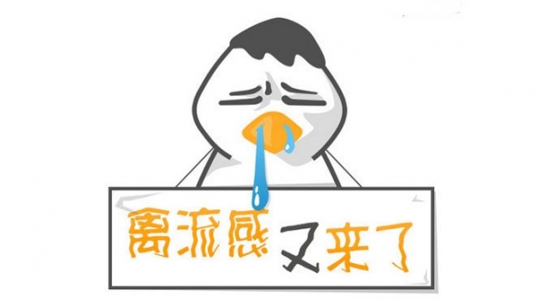 當前禽流感對豆粕影響如何？