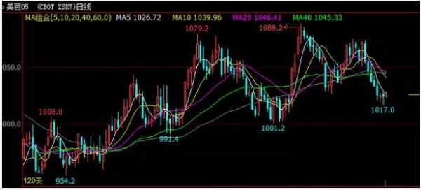 南美大豆上市及裝船情況對國內油粕市場的影響分析