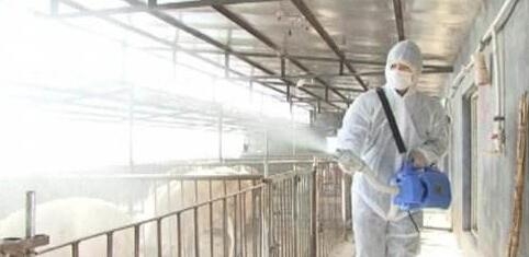 豬場(chǎng)消毒要注意哪些問題，你知道嗎？