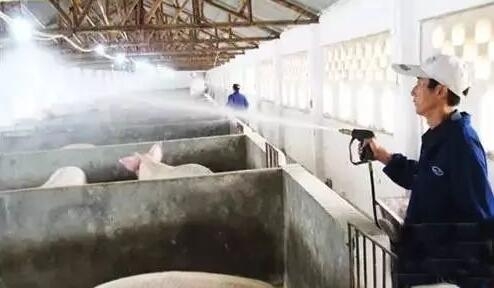 常用消毒液配置及使用情況？