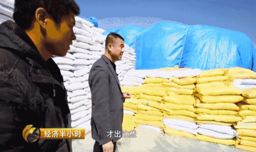 東北開種“天價玉米”，賣價是普通的20倍！