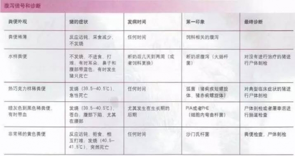 豬場養豬盲點？解析引起疾病的原因