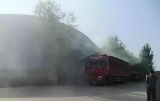 中儲糧河南萬噸小麥"被忘"7年，變質后連豬都不能吃！