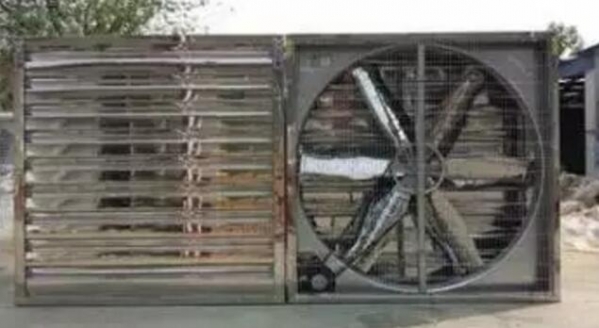 給豬舍通風換氣能帶來什么效果？