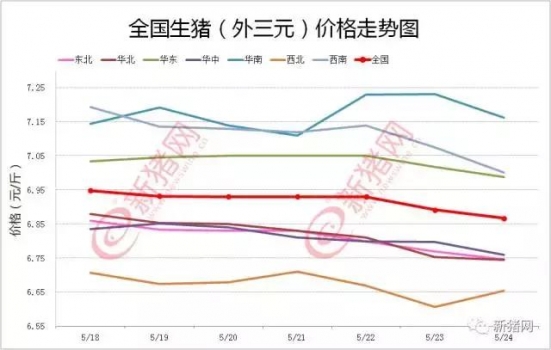 積壓肥豬難消化 標豬價格難下壓