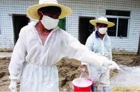 養(yǎng)豬場如何正確使用石灰消毒？