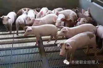 答疑｜超全面的保育管理制度（１）