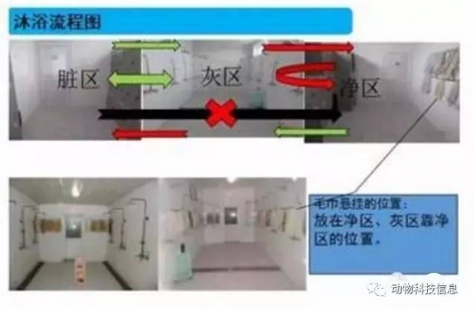 規模豬場生物安全體系關鍵環節,做好了就能控制疫病！