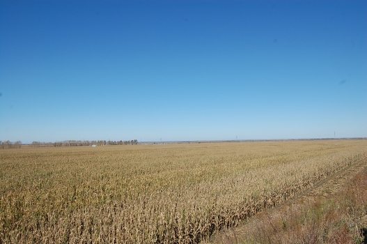 未來我國飼料配方將發(fā)生重大轉(zhuǎn)變