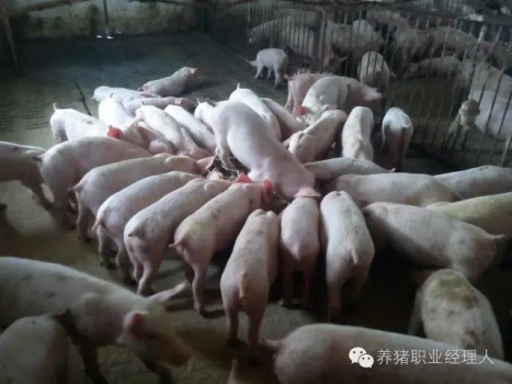 必修課 | 超全面的保育舍管理制度（3）