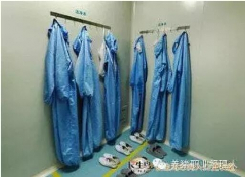 必修課 | 完整的豬場(chǎng)生物安全管理制度（1）