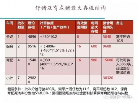 前沿技術(shù) | 五萬(wàn)頭規(guī)模場(chǎng)四周批次生產(chǎn)模式介紹（1）