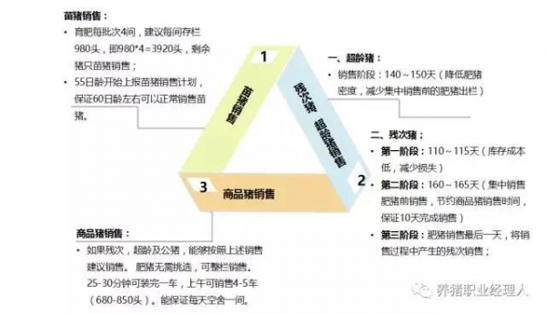 前沿技術(shù) | 五萬(wàn)頭規(guī)模場(chǎng)四周批次生產(chǎn)模式介紹（3）