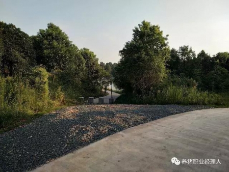 必修課 | 豬場隔離措施完善與否決定一個場的疾病是否多發（值得收藏）