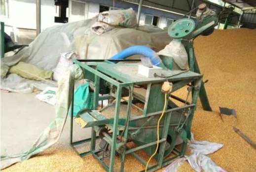 周恩庫(kù)：玉米使用少花冤枉錢(qián)知道這四個(gè)字就行