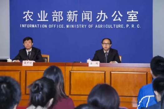 最新！農業部帶您了解農牧產品&原料行情！