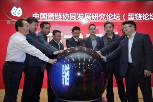 協(xié)同打造優(yōu)質(zhì)放心蛋品 助力禽蛋產(chǎn)業(yè)轉(zhuǎn)型升級(jí) ——“中國(guó)蛋鏈協(xié)同發(fā)展研究論壇”在...