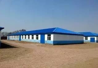 豬場管理者的經驗匯總