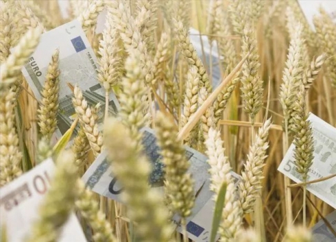 2018年養殖補貼有重大改革，附申請流程！