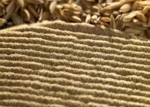 玉米率先領漲 年前豆粕仍存階段走高希望