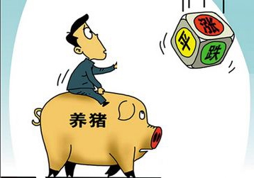 全國范圍內豬價止漲反跌為哪般？養殖戶應該如何應對？