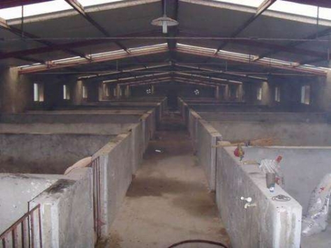 農(nóng)業(yè)部最新要求：萬(wàn)頭豬場(chǎng)水沖糞排水量不得高于175立方／天