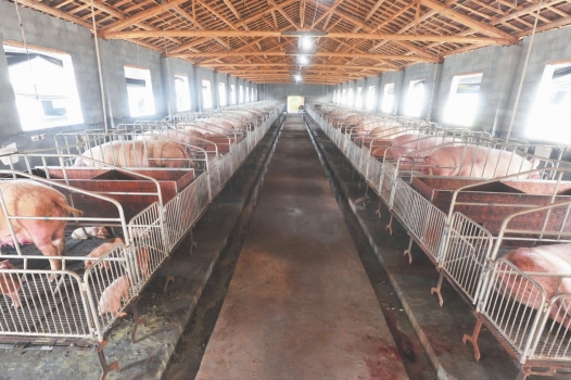 農(nóng)業(yè)部辦公廳關(guān)于印發(fā)《畜禽規(guī)模養(yǎng)殖場(chǎng)糞污資源化利用設(shè)施建設(shè)規(guī)范（試行）》的通知