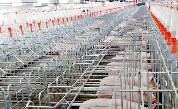 技術控 | 批次生產如何才能做到滿負荷而又均衡？這確實是門藝術