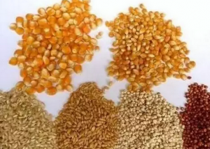 飼料生產進入高成本時代行情穩中上行成為新常態