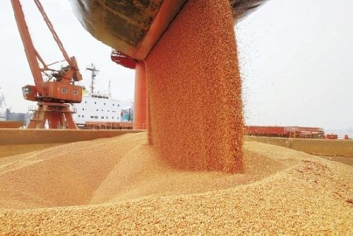 四川工業飼料產量突破1100萬噸