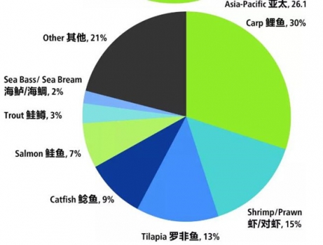 2017年全球飼料產量達到10.7億噸，同比增長2.57%