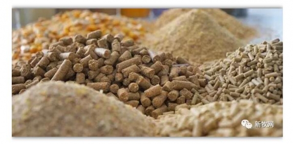 飼料行業的五大現狀與五個大坑