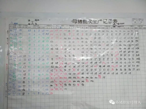 技術控 | 豬場水平高低如何判斷？