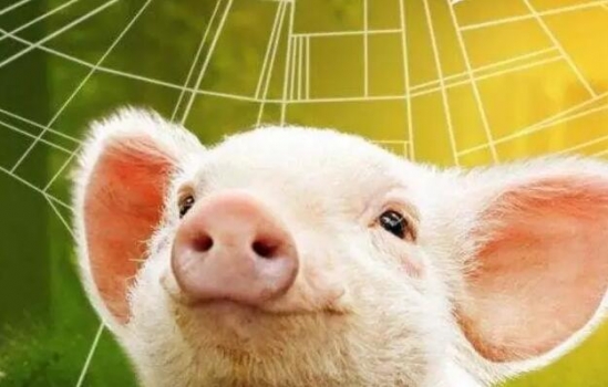 誰是壓垮飼料行業最后的一根稻草？