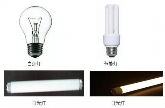 豬場如何選擇合適的光源和光色？