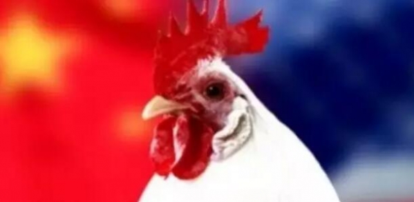 商務(wù)部：中國(guó)終止對(duì)美國(guó)進(jìn)口白羽肉雞產(chǎn)品征收雙反稅
