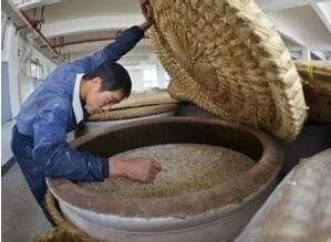 飼料發酵為何被列入十三五發展重點，發酵飼料有何用處？