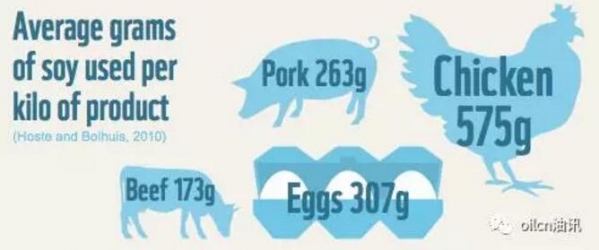我們是如何從世界第一大豆生產國到世界第一大客戶的？
