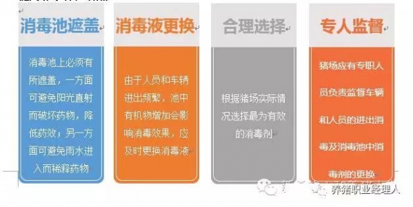 前沿技術(shù) | 豬場(chǎng)成功實(shí)現(xiàn)偽狂犬凈化的關(guān)鍵措施