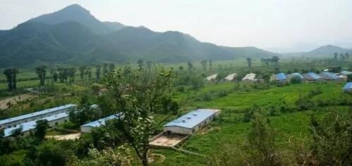 減量增效 健康養殖 食品安全 你我的目標