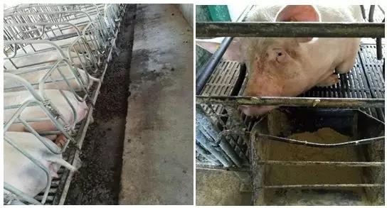 炎夏即將來襲，雙層屋頂助你舒適過夏