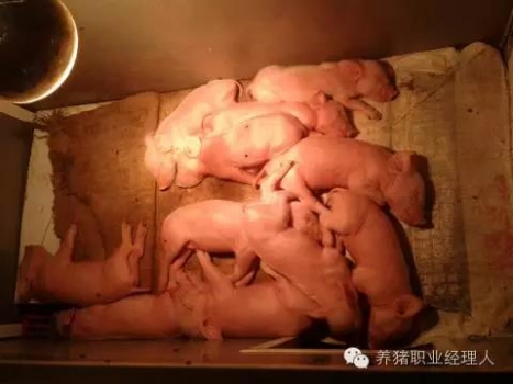 必修課 | 現代產房最新管理程序