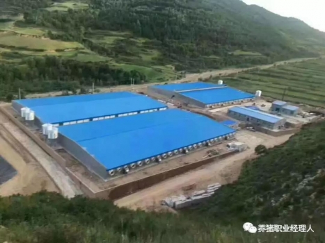 批次生產(chǎn)|豬只流動模型應該如何確定（1）